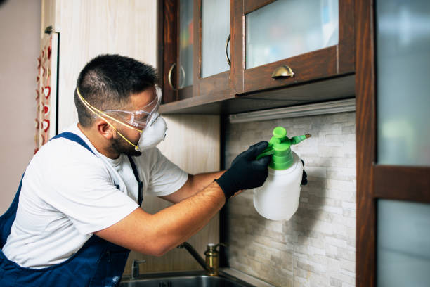 Flea Control Services in Willow Park, TX