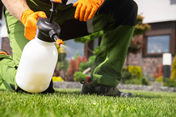 Trusted Willow Park, TX Pest Control Experts