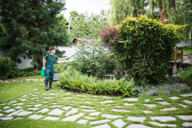 Best Pest Inspection Near Me  in Willow Park, TX