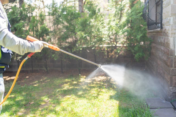 Best Affordable Pest Control Services  in Willow Park, TX