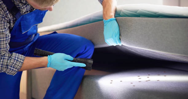Best Emergency Pest Control  in Willow Park, TX