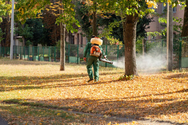 Best Flea Control Services  in Willow Park, TX