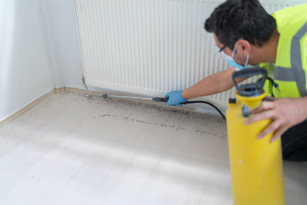 Best Bed Bug Extermination  in Willow Park, TX