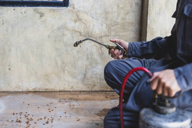 Trusted Willow Park, TX Pest Control Experts